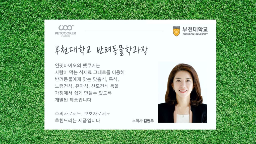 수의사 추천 — 펫바비야 화식
